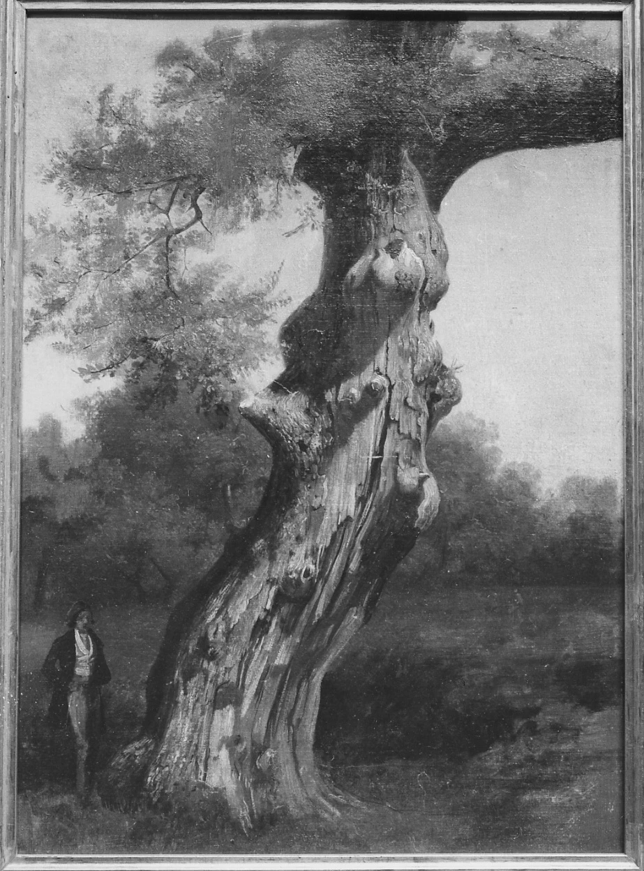 Albero con figura maschile - Museo Civico, Palazzo d'Avalos, Chieti